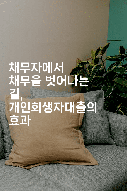 채무자에서 채무을 벗어나는 길, 개인회생자대출의 효과-애니멀리