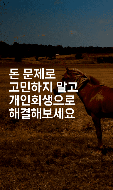 돈 문제로 고민하지 말고 개인회생으로 해결해보세요