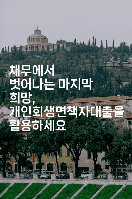 채무에서 벗어나는 마지막 희망, 개인회생면책자대출을 활용하세요-애니멀리