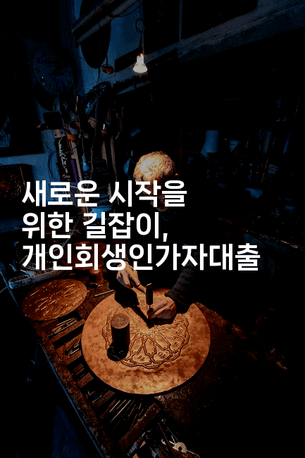 새로운 시작을 위한 길잡이, 개인회생인가자대출