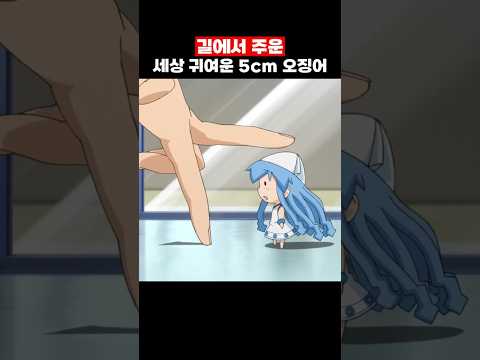 5cm 미니 오징어를 주우면 생기는 일