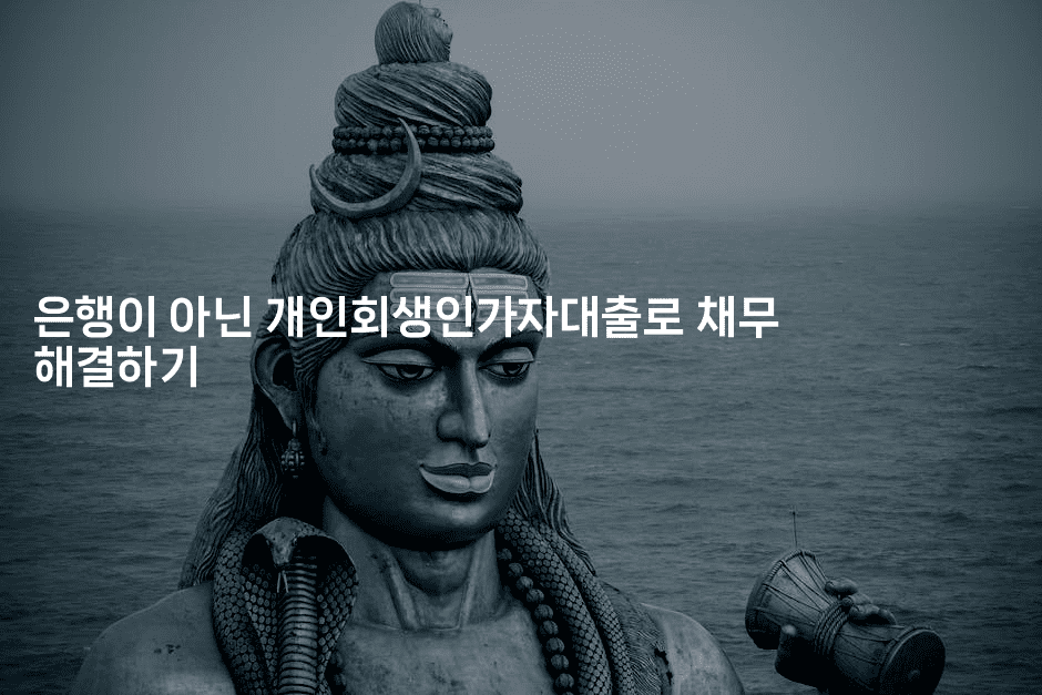 은행이 아닌 개인회생인가자대출로 채무 해결하기-애니멀리