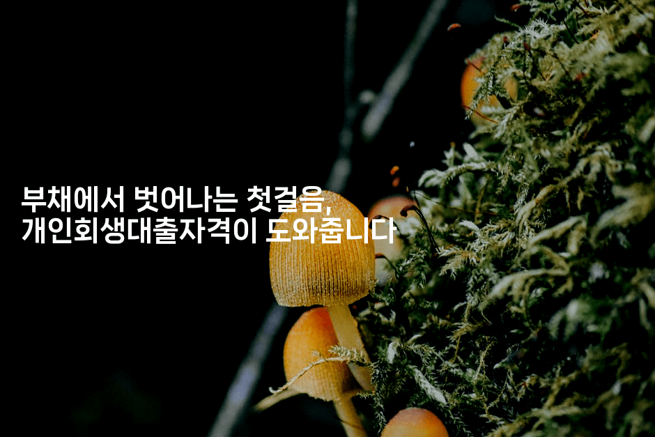 부채에서 벗어나는 첫걸음, 개인회생대출자격이 도와줍니다-애니멀리